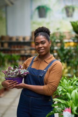 Genç Afro-Amerikan kadın bir bitki bakım evinde çalışırken gülümsüyor, canlı bir saksı bitkisini özenle ve şevkle tutuyor.