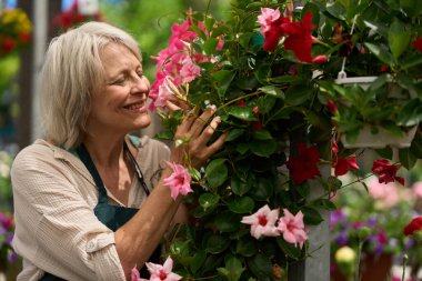 Çiçek kokan mutlu kıdemli çiçekçi bahçedeki seranın kokusunun tadını çıkarıyor.