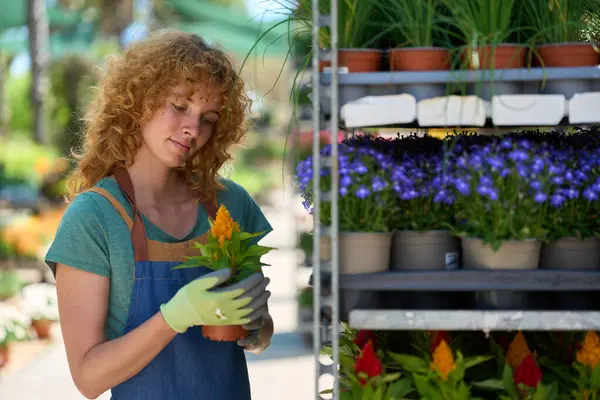Bahçenin ortasında çiçek saksısı tutan eldiven giyen kadın bahçıvan renkli bitkilerle çevrili.