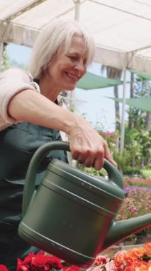 Kıdemli bahçıvan renkli çiçekleri suluyor serada sulama tenekesiyle, yavaş çekim montajı