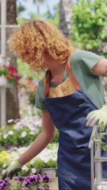 Profesyonel kadın bahçıvan bahçe arabasında renkli saksıları dikkatlice düzenliyor güneş ışığıyla aydınlatılmış çocuk odası ortamında, hassas yerleştirme ve canlı botanik çalışmaları yakalıyor.