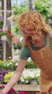 Profesyonel kadın bahçıvan dikkatlice renkli çiçekleri seçiyor, canlı çiçekleri güneş ışığıyla aydınlanan çocuk odası ortamında ahşap arabaya aktarıyor, küçük işletme akışı sergiliyor.