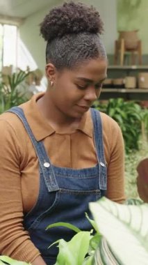 Kot pantolon giyen profesyonel kadın bahçıvan botanik araştırma sekansı sırasında huzurlu seranın içindeki yeşil bitkileri dikkatlice inceliyor.