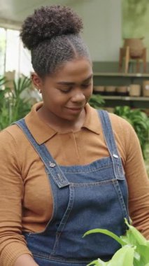 Genç bayan bahçıvan, küçük botanik perakende alanındaki bitkilerle dikkatlice ilgileniyor, yeşillikleri nazikçe inceliyor, profesyonel bakım ve odaklanma ile, yavaş çekim