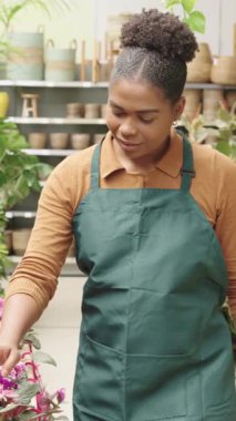 Profesyonel kadın çiçekçi, rahat bitki dükkanındaki narin çiçekleri dikkatlice düzenliyor ve kontrol ediyor, yeşil ve renkli botanik gösterilerini titiz bir uzmanlıkla yetiştiriyor.