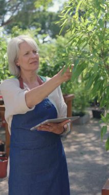 Bahçıvan, bitki sağlığını dijital tablet kullanarak analiz ediyor. Çocuk odasında, yeşil yaprakları aydınlatan doğal güneş ışığıyla duruyor.