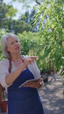 Kıdemli profesyonel bahçıvan, bitki sağlığını dijital tablet kullanarak dikkatlice kontrol ederek sürdürülebilir kreş yönetimi konusunda uzmanlığını ortaya koydu.