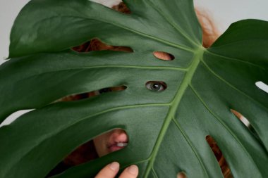 Womans eye and mouth appearing through holes in a green monstera plant leaf, illustrating curiosity and hiding