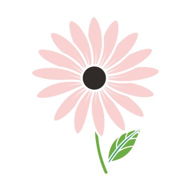 Gül papatya çayı. Şirin yuvarlak çiçek koleksiyonu.