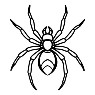 Örümcek siluetinin vektör görüntüsü.