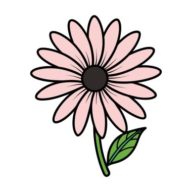 Gül papatya çayı. Şirin yuvarlak çiçek koleksiyonu.