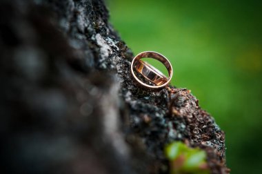 Kahverengi ahşap arka planda iki altın alyans.