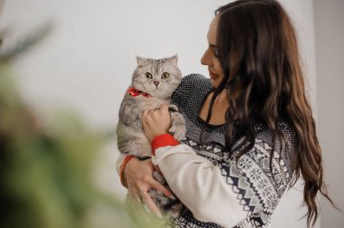 Beautiful gray cat in the arms of a pregnant woman