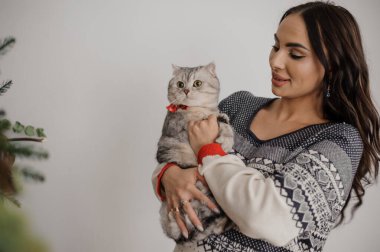Beautiful gray cat in the arms of a pregnant woman