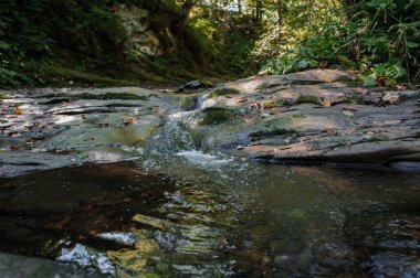 Rocky mountain river among the forest. Beautiful river with a waterfall in a coniferous forest