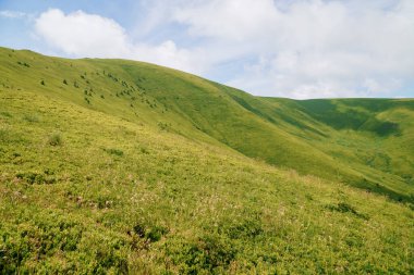 Summer mountain landscape, forest, clouds. Mount Gemba Pylypets Ukraine. Ukrainian mountains Carpathians, Transcarpathia