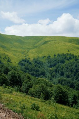 Summer mountain landscape, forest, clouds. Mount Gemba Pylypets Ukraine. Ukrainian mountains Carpathians, Transcarpathia