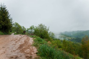 Dağların manzarası, dağların arkasındaki orman.