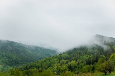 Dağların manzarası, dağların arkasındaki orman.