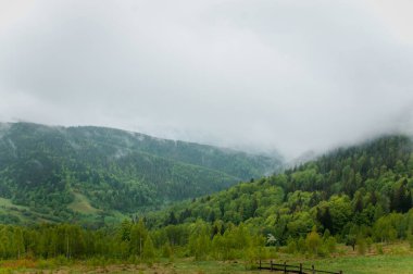 Dağların manzarası, dağların arkasındaki orman.