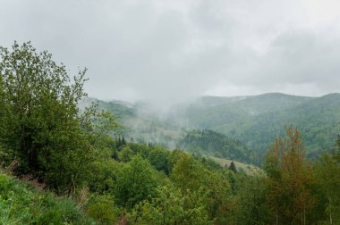 Dağların manzarası, dağların arkasındaki orman.