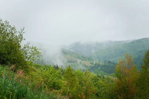 stock image Landscape of mountains, forest against the background of mountains