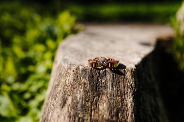 Bir kütükte iki altın alyans