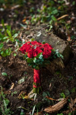 Bir çift altın alyans bir kütükte, arka planda kırmızı güllü bir buket.