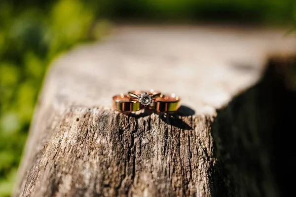 Dois Anéis Casamento Dourados Toco — Fotografia de Stock