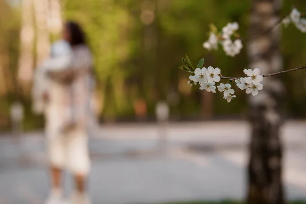 Weiße Blume Auf Dem Baum Blume Auf Einem Apfelbaum Frühlingsblume — Stockfoto