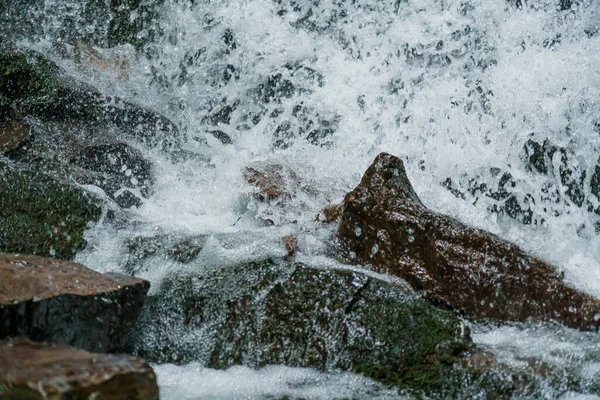 滝の山の崖にカスケード 山の中で山の滝 カルパティア山脈 — ストック写真