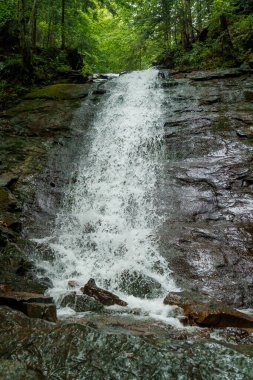 Dağ kayalıklarında şelale şelalesi. Dağlarda bir dağ şelalesi. Dağlar Karpatlar
