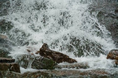 Dağ kayalıklarında şelale şelalesi. Dağlarda bir dağ şelalesi. Dağlar Karpatlar