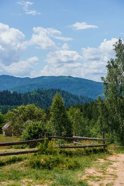 stock image Mountain forest. Landscape of the forest in the mountains of the Ukrainian Carpathians