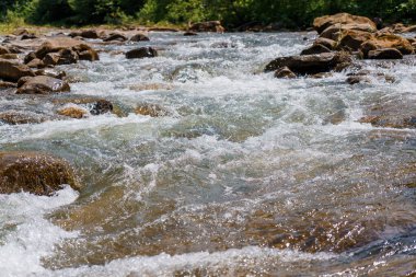 Ormandaki dağ nehri kayaların arasında. Dağlar Karpatlar