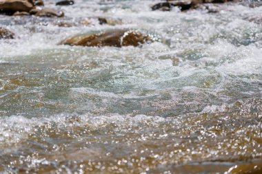Ormandaki dağ nehri kayaların arasında. Dağlar Karpatlar