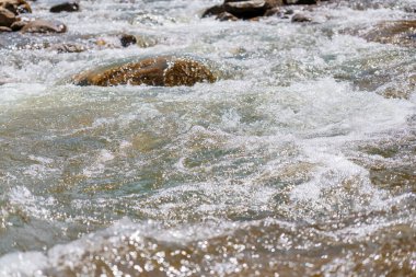 Ormandaki dağ nehri kayaların arasında. Dağlar Karpatlar