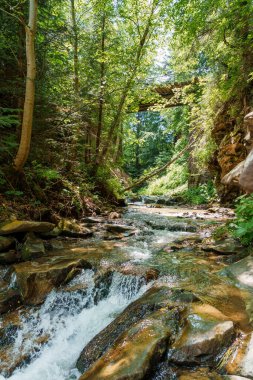 Ormandaki dağ nehri kayaların arasında. Dağlar Karpatlar