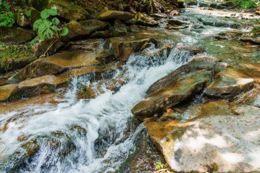 Ormandaki dağ nehri kayaların arasında. Dağlar Karpatlar
