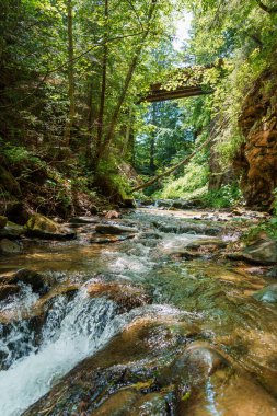 Ormandaki dağ nehri kayaların arasında. Dağlar Karpatlar