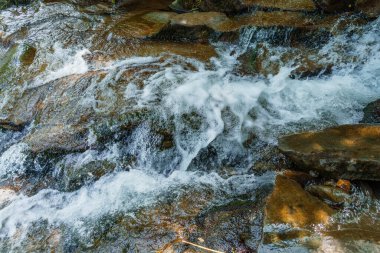 Ormandaki dağ nehri kayaların arasında. Dağlar Karpatlar