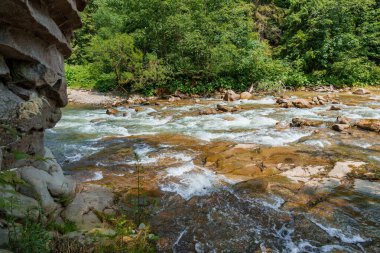 Ormandaki dağ nehri kayaların arasında. Dağlar Karpatlar