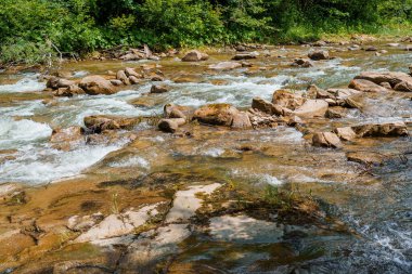 Ormandaki dağ nehri kayaların arasında. Dağlar Karpatlar