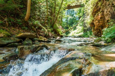 Ormandaki dağ nehri kayaların arasında. Dağlar Karpatlar