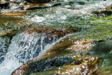 Ormandaki dağ nehri kayaların arasında. Dağlar Karpatlar