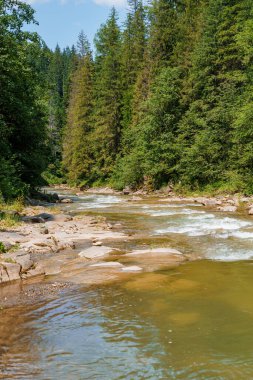 Ormandaki dağ nehri kayaların arasında. Dağlar Karpatlar