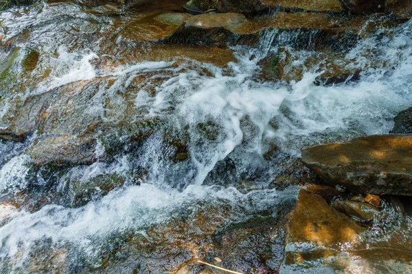 山间的河流在岩石间的森林里 喀尔巴阡山脉 — 图库照片