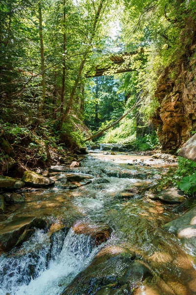 岩の間の森の中の山の川 カルパティア山脈 — ストック写真