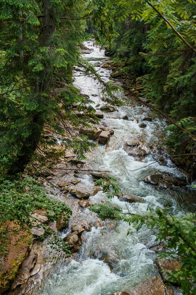 Rio Montanha Floresta Entre Rochas Montanhas Cárpatos — Fotografia de Stock