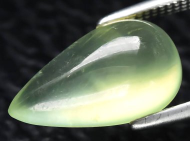 Arka planda doğal yeşil kavrayıcı mücevher